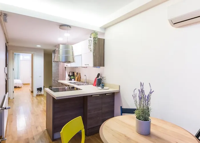 Elegant 2 Bedroom Duplex House With Garden In Cihangir